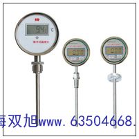 電接點(diǎn)壓力式溫度計WTZ-288