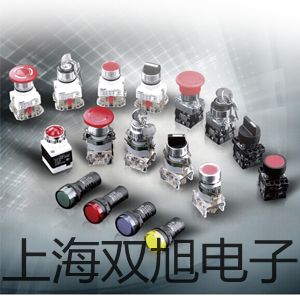 奧豪斯計重秤RC21P15ZH宣城績溪銷售
