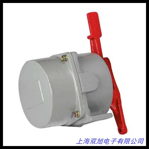 RAMSEY失速開關(guān)Thermo ramsey拉繩開關(guān)