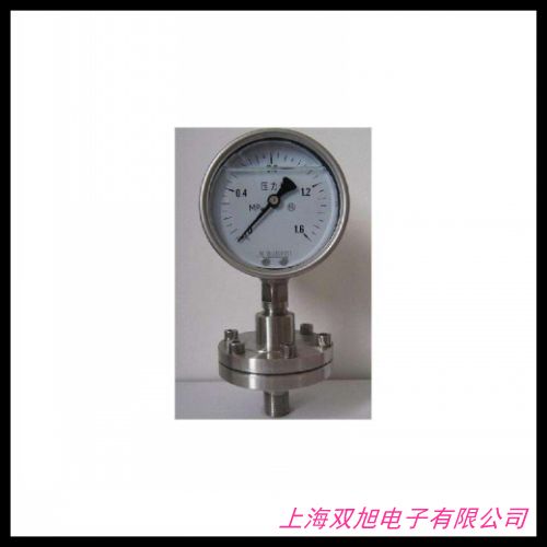 BLD卡子快裝式衛(wèi)生型隔膜表BRIGHTY布萊迪PTHN-98.AO.513-F6