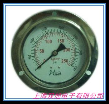 BLD卡子快裝式衛(wèi)生型隔膜表BRIGHTY布萊迪PTHN-98.AO.513-F6