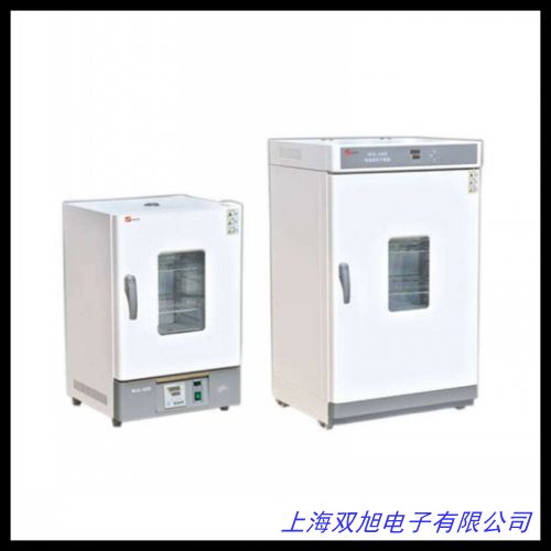 熱風(fēng)循環(huán)電熱鼓風(fēng)高溫干燥箱 真空烘箱 工業(yè)烤箱 高溫真空干燥箱