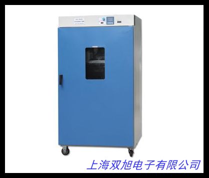 電熱恒溫鼓風干燥箱 熱風循環(huán)工業(yè)烤箱 雙門推車式工業(yè)烘箱 烤箱