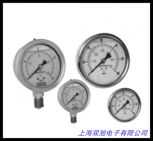數(shù)字壓力控制表 BD-801K 壓力控制器 壓力表 數(shù)顯壓力表 耐震