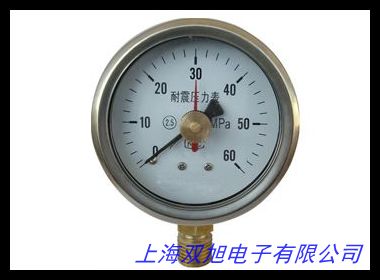 數(shù)字壓力控制表 BD-801K 壓力控制器 壓力表 數(shù)顯壓力表 耐震